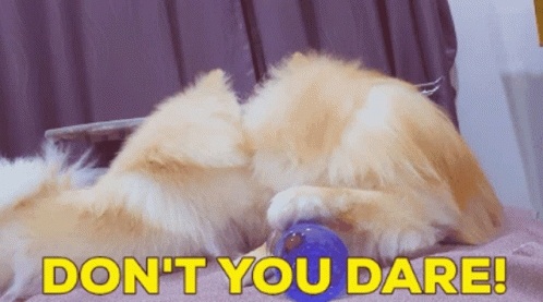 A Dog Laying On A Blanket With The Words " Do N't You Dare " Above It GIF