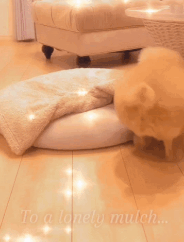 A Dog Laying On A White Blanket With The Words To A Lonely Mulch Written On The Floor GIF