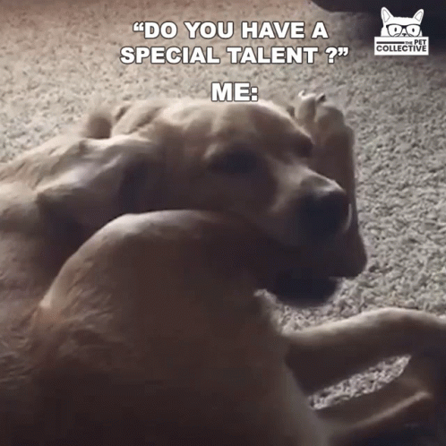 A Dog Laying On The Floor With A Caption That Says " Do You Have A Special Talent Me " GIF