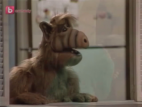A Dog Looking Out A Window With A B Comedy Logo On The Bottom Right GIF