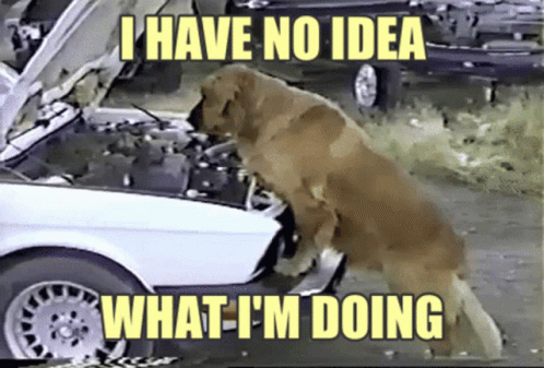 A Dog Looking Under The Hood Of A Car With The Words " I Have No Idea What I 'M Doing " GIF