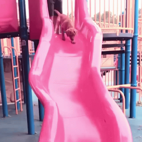 A Dog On A Pink Slide At A Playground GIF