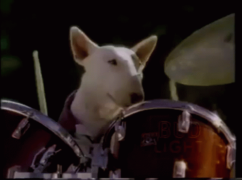 A Dog Playing Drums With A Bud Light Sign Behind Him GIF