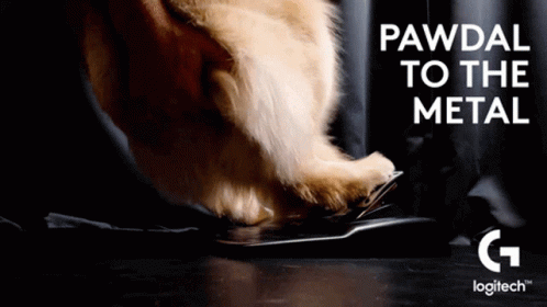A Dog 'S Paw Is On A Keyboard With The Words Pawdai To The Metal Written Above It GIF