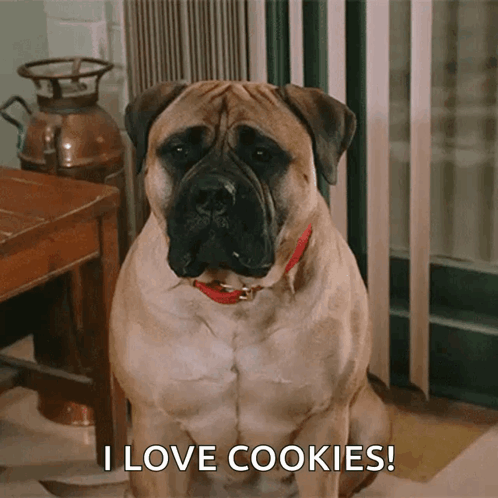 A Dog Says I Love Cookies While Sitting Down GIF