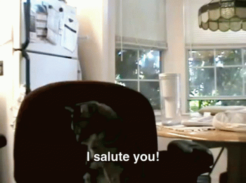 A Dog Says " I Salute You " In A Kitchen GIF