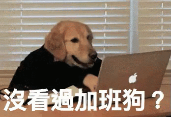 A Dog Sitting In Front Of An Apple Laptop GIF