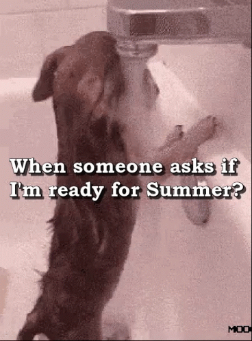 A Dog Standing In A Bathtub With The Words " When Someone Asks If I 'M Ready For Summer " Above It GIF