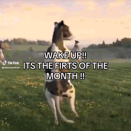 A Dog Standing In A Field With The Words Wake Up Its The Firts Of The Month Written On It GIF