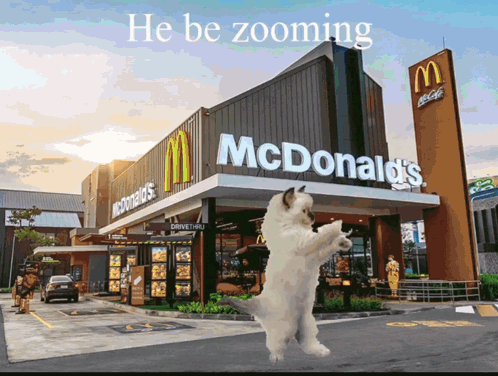A Dog Standing In Front Of A Mcdonald 'S Restaurant GIF