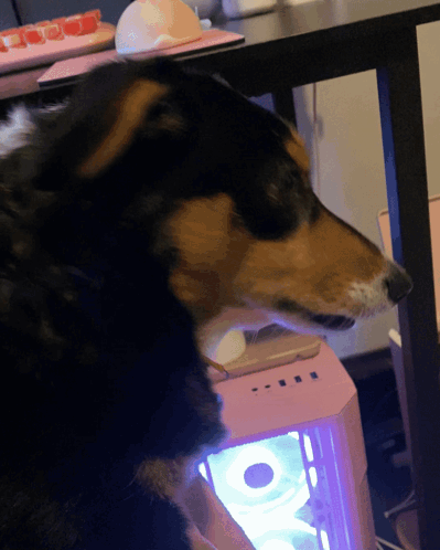 A Dog Standing Next To A Pink Computer Case With Purple Lights GIF