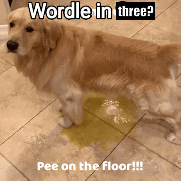 A Dog Standing Next To A Puddle Of Yellow Liquid With The Caption " Wordle In Three Pee On The Floor " GIF