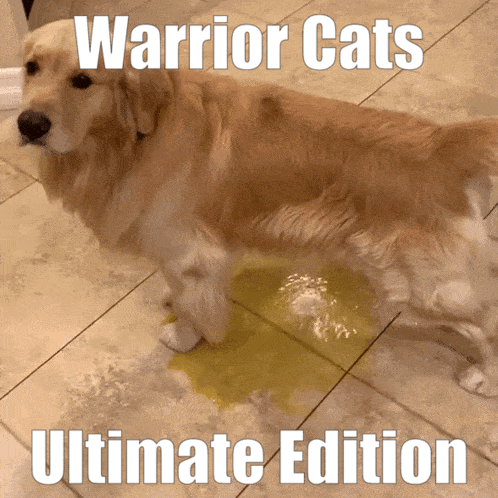 A Dog Standing Next To A Puddle Of Yellow Liquid With The Words Warrior Cats Ultimate Edition Written Above It GIF