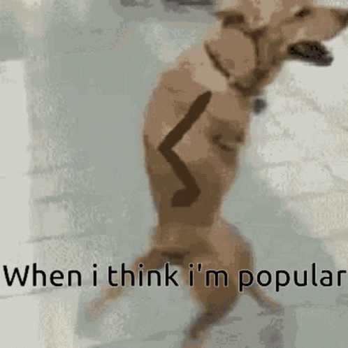 A Dog Standing On Its Hind Legs With The Words When I Think I 'M Popular Written Below It GIF