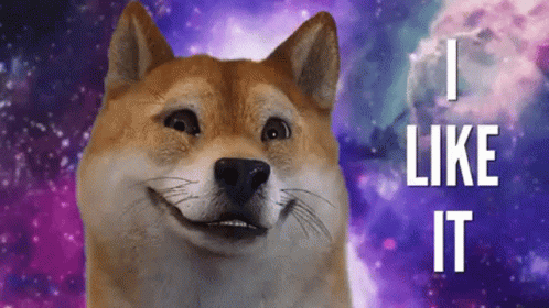A Dog That Says I Like It In Front Of A Galaxy Background GIF