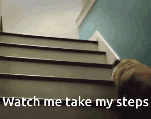 A Dog Walking Up A Set Of Stairs With The Words Watch Me Take My Steps GIF