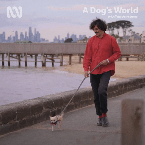 A Dog Walking World GIF