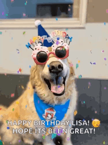 A Dog Wearing A Birthday Hat And Sunglasses Says Happy Birthday Lisa GIF