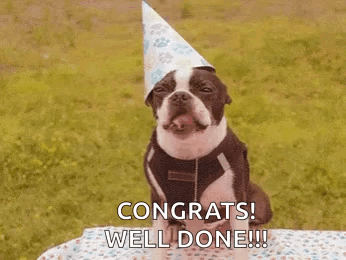 A Dog Wearing A Birthday Hat Is Sitting On A Picnic Table . GIF