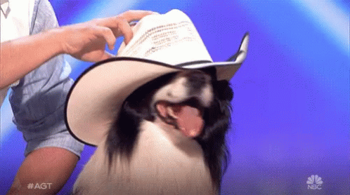 A Dog Wearing A Cowboy Hat Is On A Nbc Show GIF