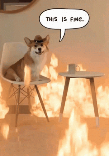 A Dog Wearing A Cowboy Hat Is Sitting In A Chair With A Speech Bubble That Says This Is Fine GIF