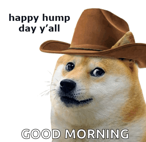 A Dog Wearing A Cowboy Hat Says Happy Hump Day Y'all GIF
