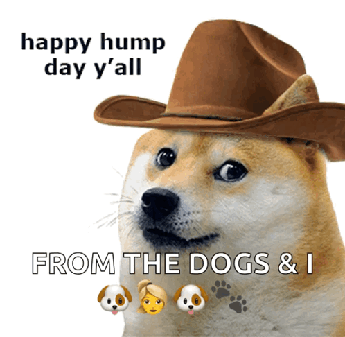 A Dog Wearing A Cowboy Hat Says Happy Hump Day Y'all GIF