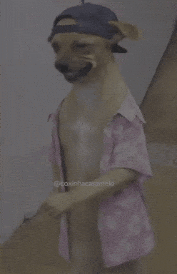 A Dog Wearing A Hat And A Shirt With The Hashtag @Coxinhascaramelo GIF