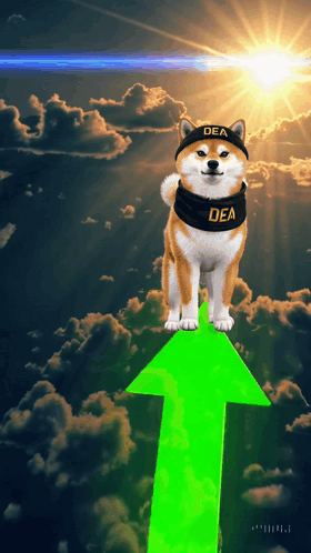 A Dog Wearing A Hat That Says Dea Stands On A Green Arrow GIF