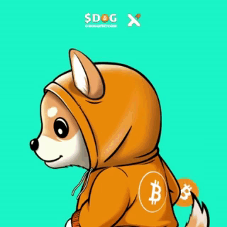 A Dog Wearing A Hoodie With A Bitcoin Symbol On It GIF