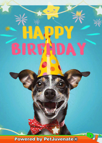 A Dog Wearing A Party Hat And A Bow Tie With The Words Happy Birthday Behind It GIF