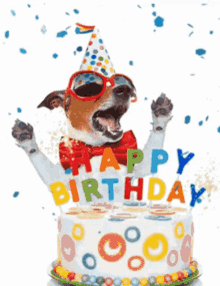 A Dog Wearing A Party Hat And Sunglasses Stands In Front Of A Birthday Cake GIF