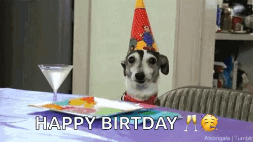 A Dog Wearing A Party Hat Is Sitting At A Table With A Martini And A Plate Of Food . GIF