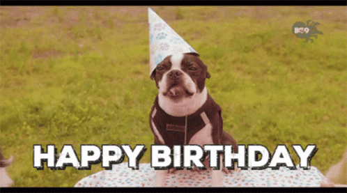 A Dog Wearing A Party Hat With The Words Happy Birthday Written On It GIF