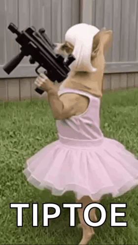 A Dog Wearing A Pink Tutu And Holding A Gun . GIF