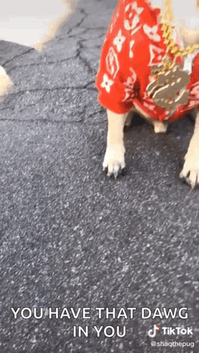 A Dog Wearing A Red Shirt With The Words `` You Have That Dawg In You '' Written On It . GIF