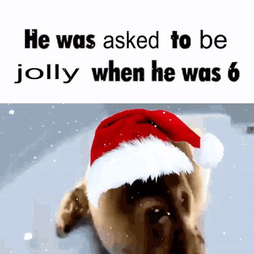 A Dog Wearing A Santa Hat With The Words He Was Asked To Be Jolly When He Was 6 Below It GIF