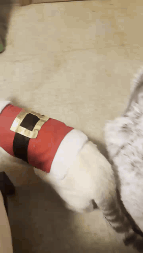 A Dog Wearing A Santa Suit Is Standing Next To Another Dog GIF