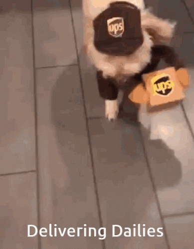 A Dog Wearing A Ups Hat And Carrying A Ups Box GIF