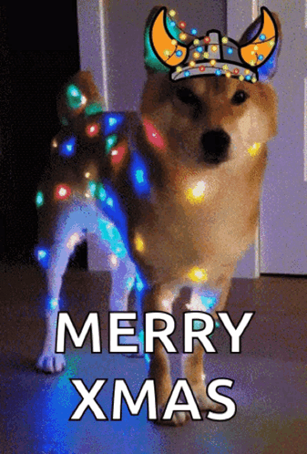 A Dog Wearing A Viking Hat With Christmas Lights On It GIF