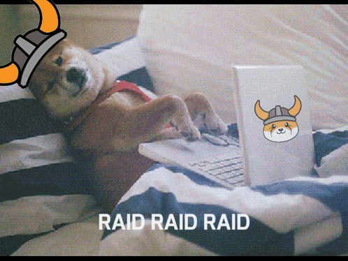 A Dog Wearing A Viking Helmet Is Laying On A Bed Using A Laptop GIF