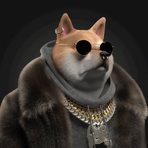 A Dog Wearing A White Bucket Hat And A Backpack GIF
