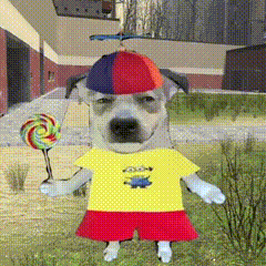 Dog In Yellow Shirt And Red Shorts Holding Lollipop GIF