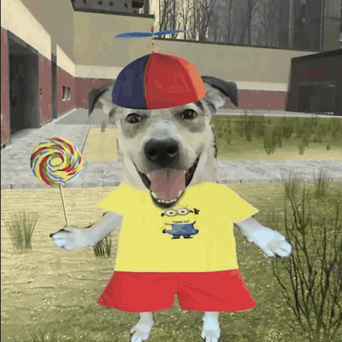 A Dog Wearing A Yellow Shirt With A Minion On It GIF