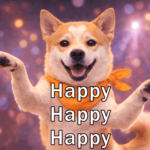 A Dog Wearing An Orange Scarf With The Words Happy Happy Happy On It GIF