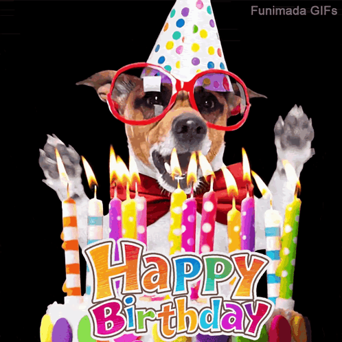 A Dog Wearing Glasses And A Party Hat Stands In Front Of A Birthday Cake With Candles GIF