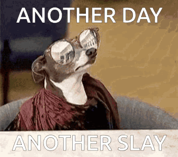 A Dog Wearing Glasses And A Scarf With The Words Another Day Another Slay Behind It GIF