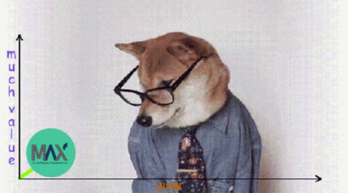 A Dog Wearing Glasses And A Tie With A Max Logo On The Bottom GIF
