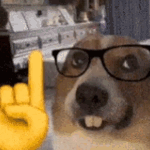 A Dog Wearing Glasses And A Yellow Hand Giving A Rock And Roll Sign . GIF