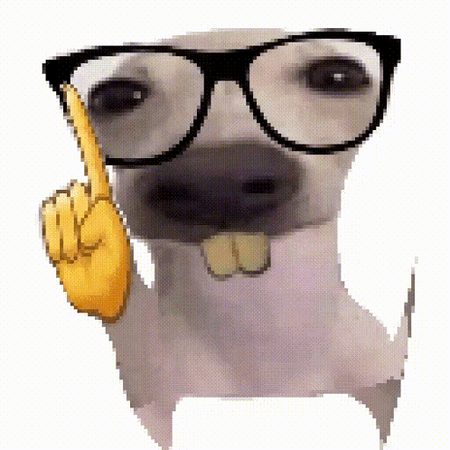 A Dog Wearing Glasses And Making A Middle Finger Sign . GIF